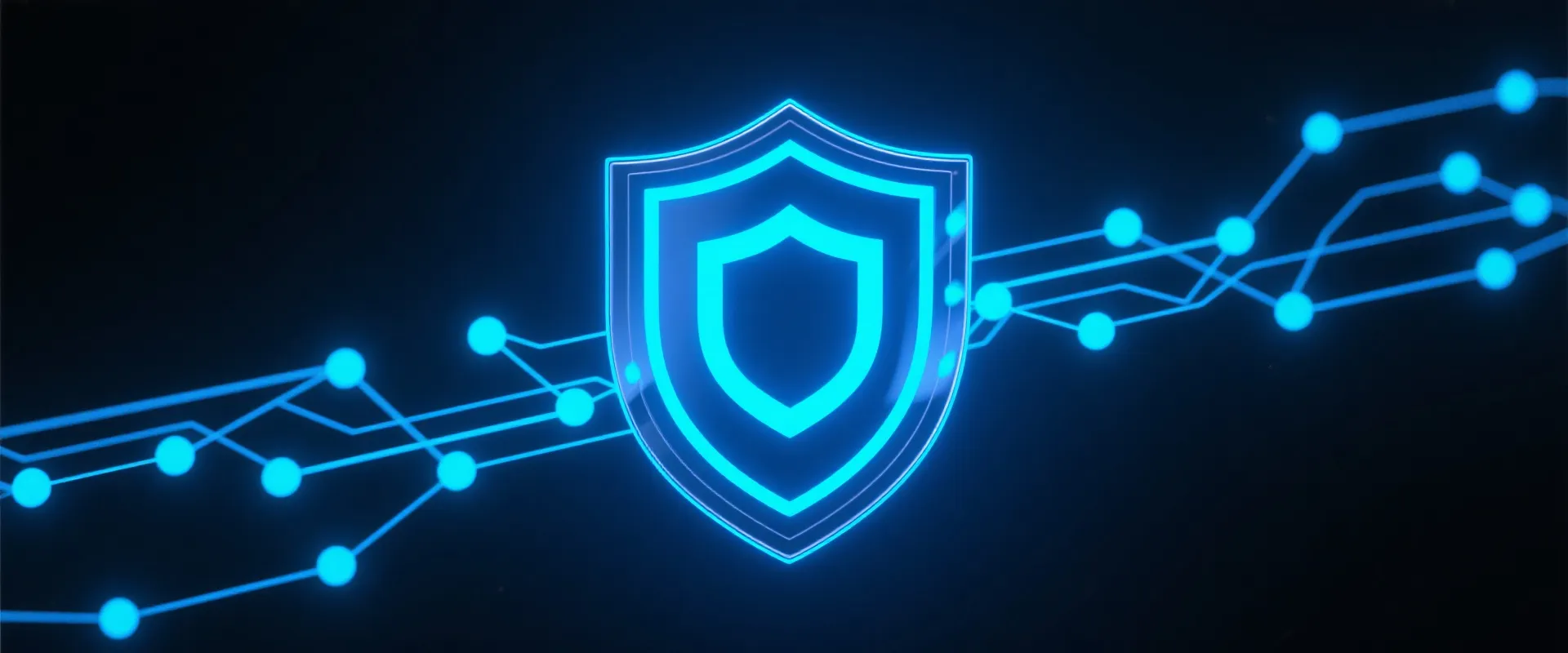 Security Network